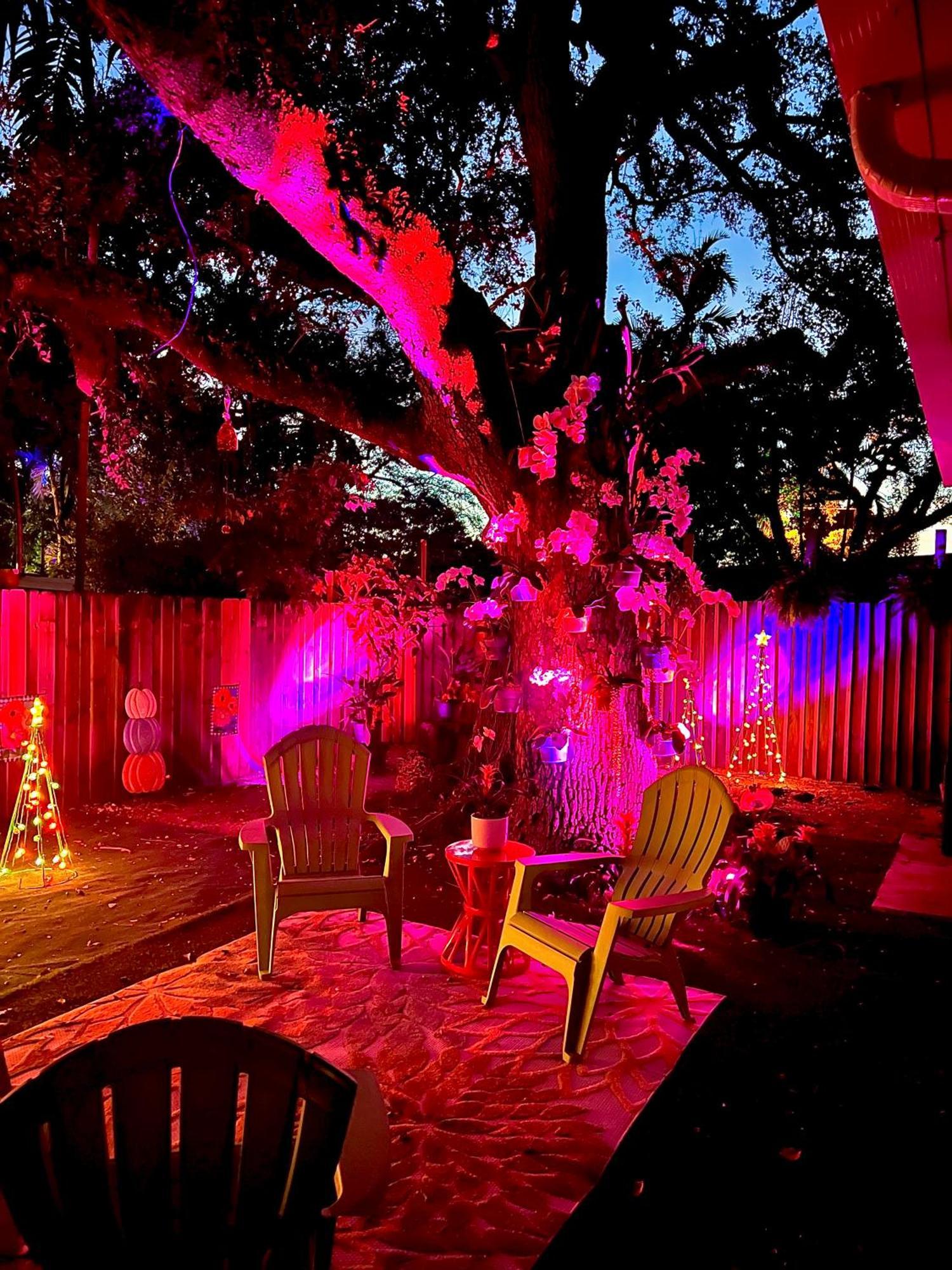 Private Guest House Miami Luaran gambar